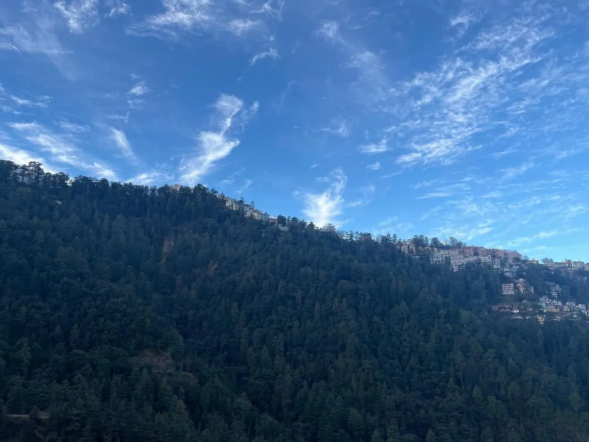 Calm Paradise Shimla Homestay