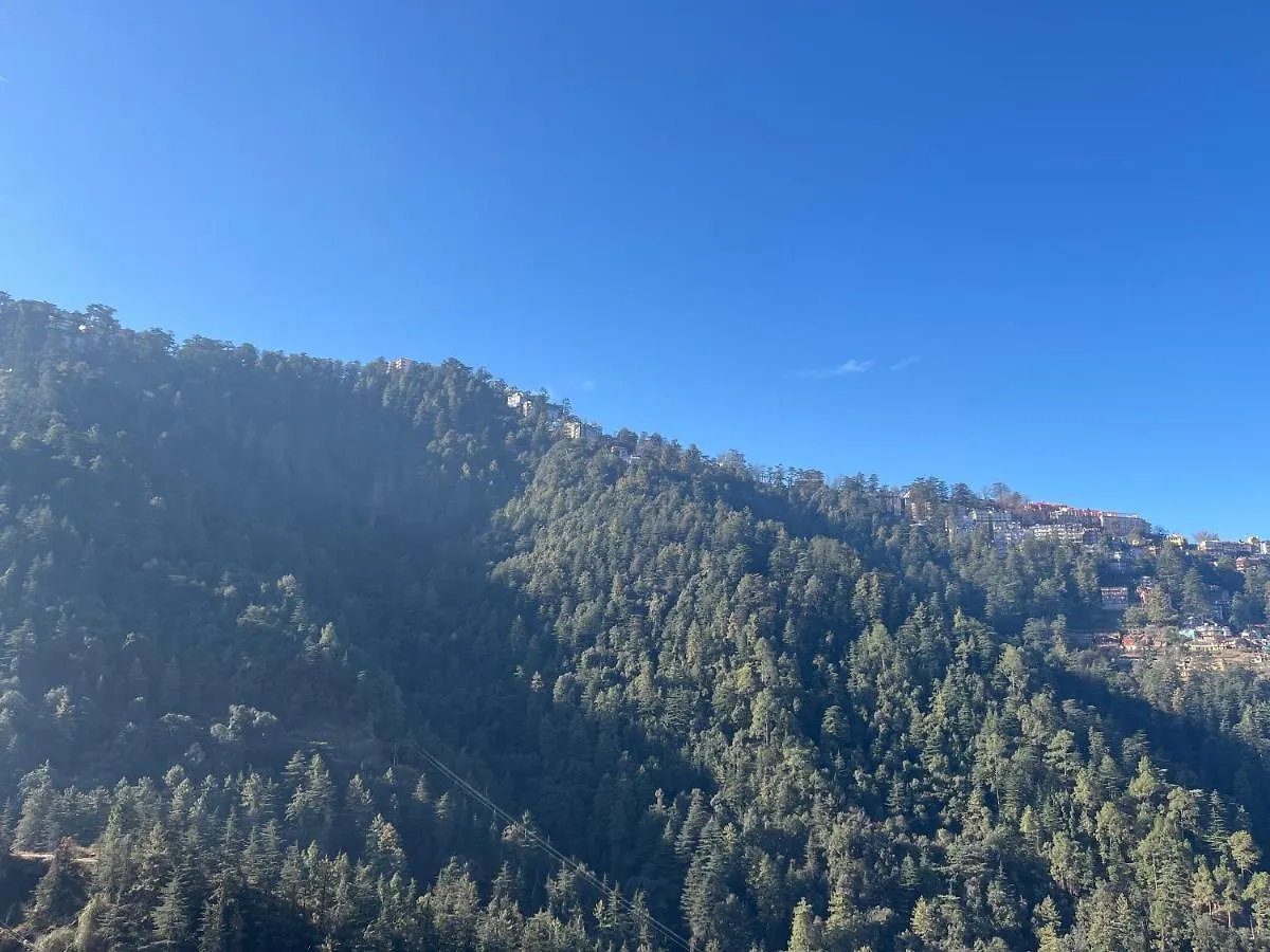 Homestay Calm Paradise Shimla