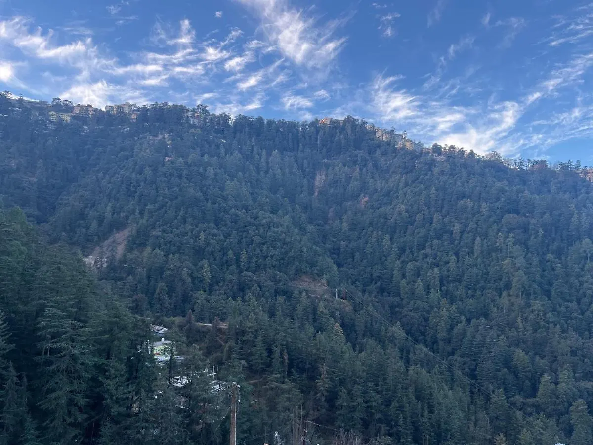 Calm Paradise Shimla Homestay