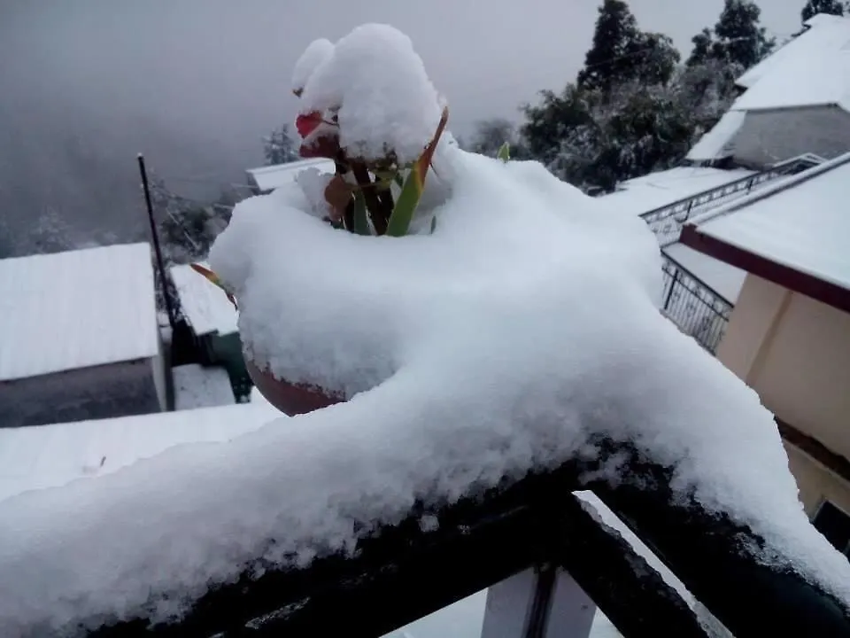 Calm Paradise Shimla